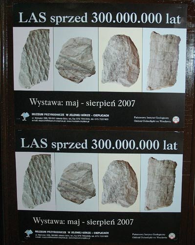 las-skamienia-5409