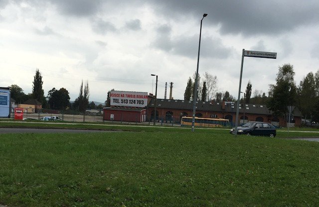 miasto-zakwitnie-wiosna-tysiacami-krokusow-foto-54108