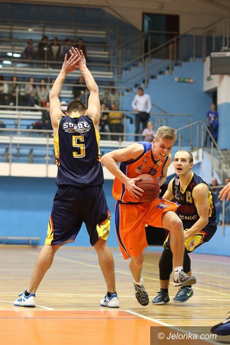 soko-poleg-w-sudetach-foto-54292