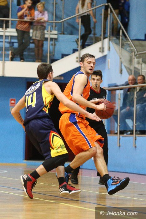 soko-poleg-w-sudetach-foto-54292