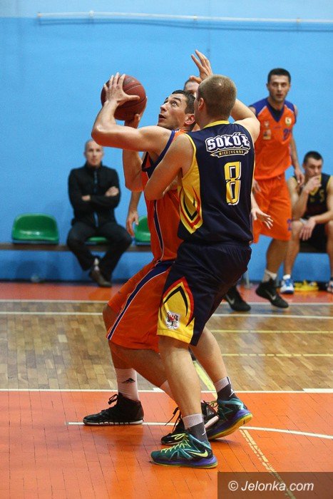 soko-poleg-w-sudetach-foto-54292