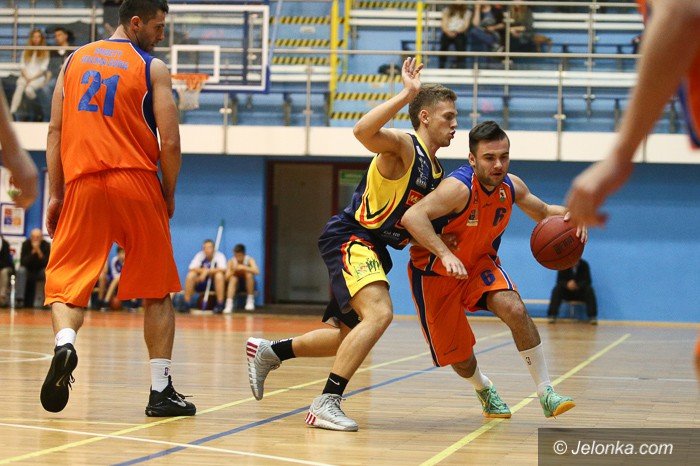 soko-poleg-w-sudetach-foto-54292
