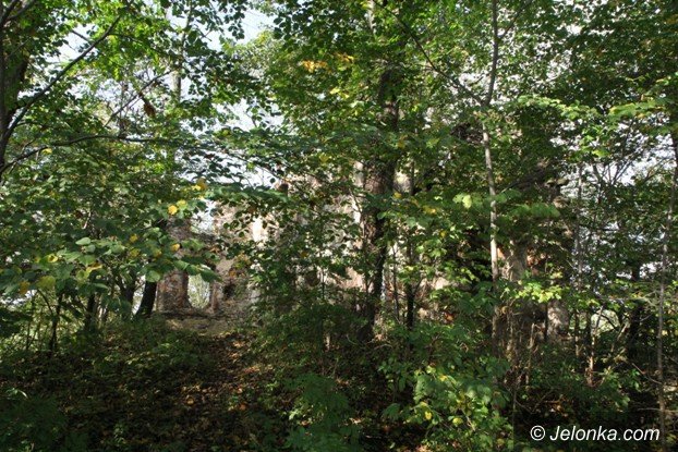 ruiny-zamku-w-rybnicy-to-warto-zobaczyc-foto-54349