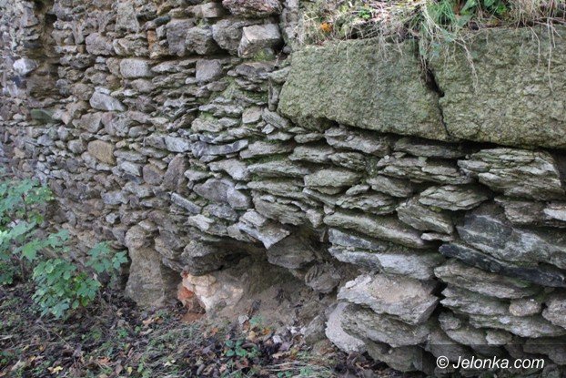 ruiny-zamku-w-rybnicy-to-warto-zobaczyc-foto-54349