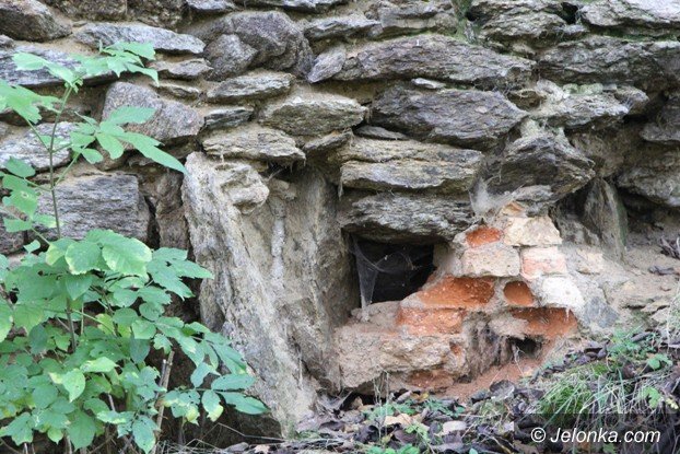 ruiny-zamku-w-rybnicy-to-warto-zobaczyc-foto-54349