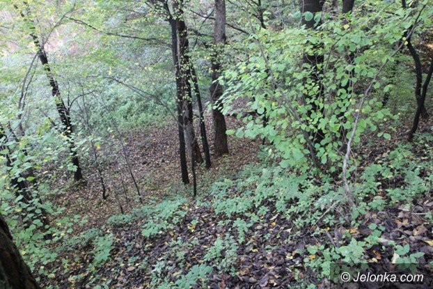 ruiny-zamku-w-rybnicy-to-warto-zobaczyc-foto-54349