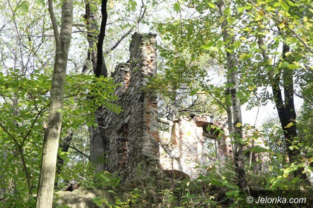 ruiny-zamku-w-rybnicy-to-warto-zobaczyc-foto-54349