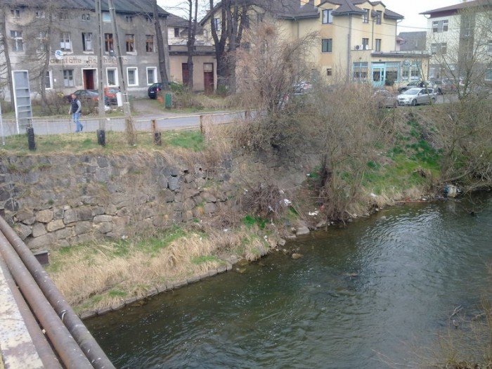z-miosci-do-bobru-zagosuj-na-promenade-foto-54356