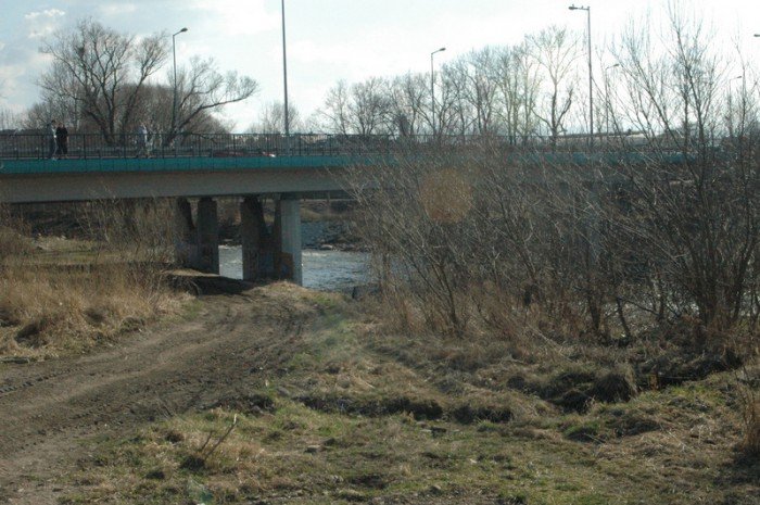 z-miosci-do-bobru-zagosuj-na-promenade-foto-54356