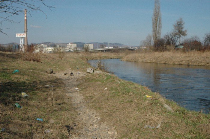 z-miosci-do-bobru-zagosuj-na-promenade-foto-54356
