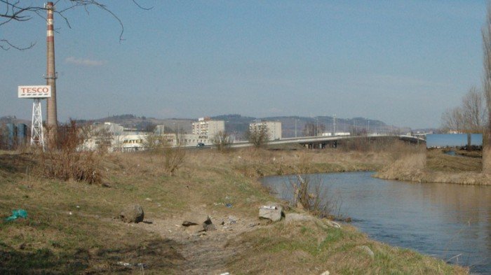 z-miosci-do-bobru-zagosuj-na-promenade-foto-54356