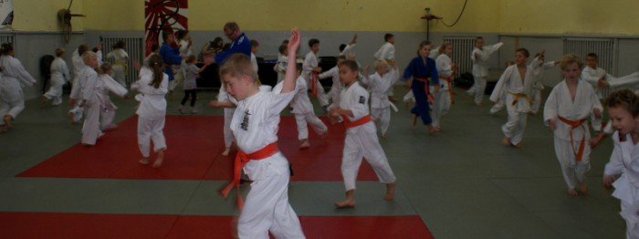 modzi-przedstawiciele-sztuk-walki-w-akcji-foto-54492