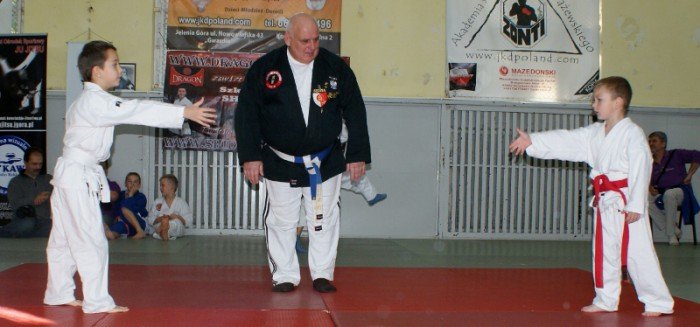 modzi-przedstawiciele-sztuk-walki-w-akcji-foto-54492