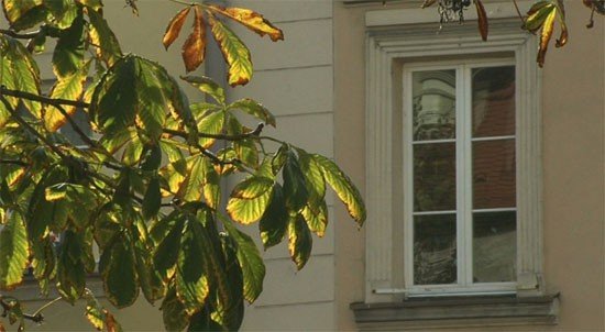 czynsze-pod-lupa-sadu-administracyjnego-video-54514