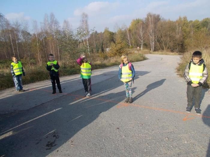 zebrali-karme-dla-zwierzat-na-zime-i-posprzatali-las-foto-54543
