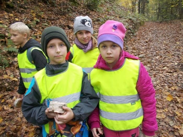 zebrali-karme-dla-zwierzat-na-zime-i-posprzatali-las-foto-54543