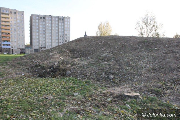 czytelniczka-na-zabobrzu-wycinaja-drzewa-foto-54604