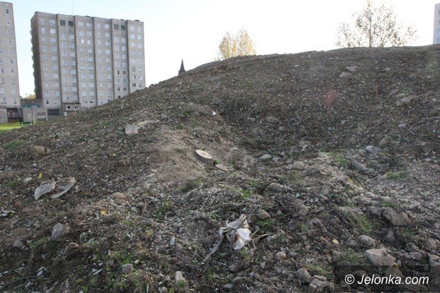 czytelniczka-na-zabobrzu-wycinaja-drzewa-foto-54604