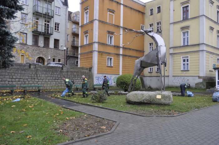 sadzili-kwiaty-w-listopadzie-zwariowali-foto-54640