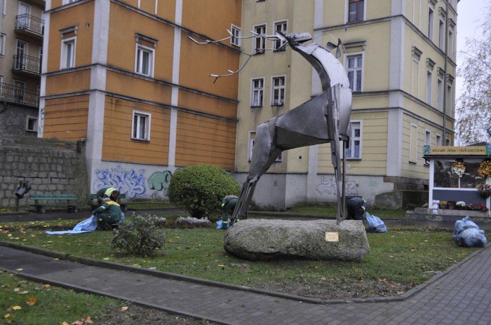 sadzili-kwiaty-w-listopadzie-zwariowali-foto-54640