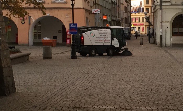 sadzili-kwiaty-w-listopadzie-zwariowali-foto-54640