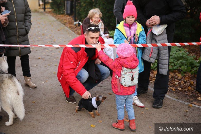 kulesza-i-janik-najlepsi-w-biegu-niepodlegosci-foto-54708