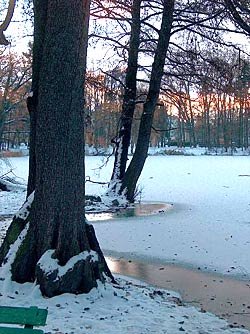Gwarny i zielony w cieplejszych porach roku Park Zdrojowy teraz jest chłodny i cichy. Serce parku, deptak koło pawilonu parkowego jest teraz pusty. Pusto również jest nad stawem w Parku Norweskim.