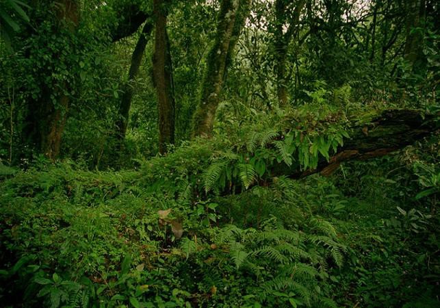 wyprawa-do-sniegow-kilimandzaro-mariana-bochynka-foto-55131