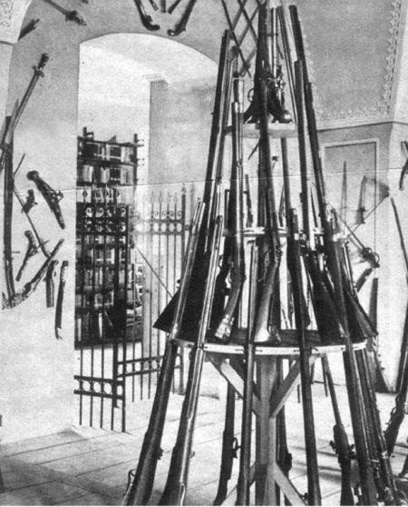 muzeum-przyrodnicze-jak-feniks-z-popioow-foto-55171