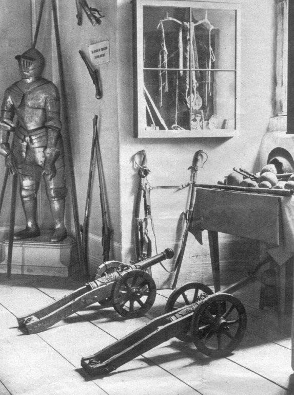 muzeum-przyrodnicze-jak-feniks-z-popioow-foto-55171