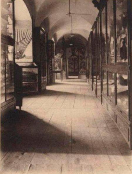 muzeum-przyrodnicze-jak-feniks-z-popioow-foto-55171