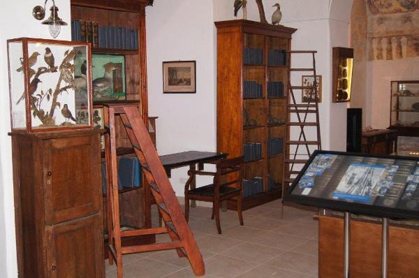 muzeum-przyrodnicze-jak-feniks-z-popioow-foto-55171