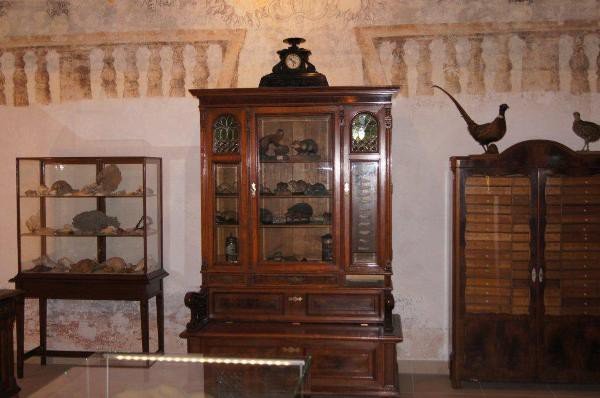 muzeum-przyrodnicze-jak-feniks-z-popioow-foto-55171