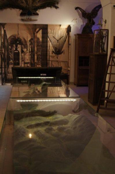 muzeum-przyrodnicze-jak-feniks-z-popioow-foto-55171