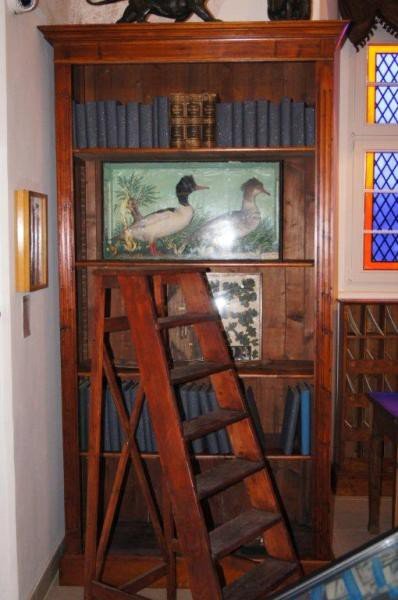 muzeum-przyrodnicze-jak-feniks-z-popioow-foto-55171