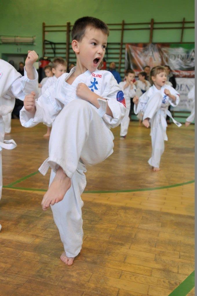 egzaminy-oyama-karate-i-plany-noworoczne-jko-foto-55428