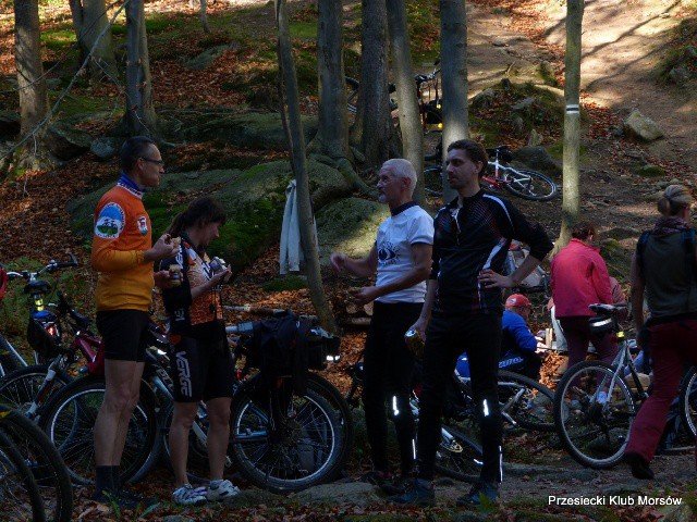 przesiecka-kapiel-morsow-i-bieg-morsa-juz-wkrotce-55436