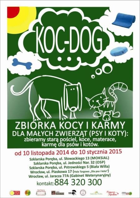 kocdog-w-szklarskiej-porebie-do-soboty-55627