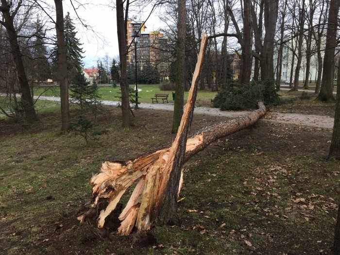 szaleje-wichuradrzewa-spady-na-budynek-i-drogi-foto-55674
