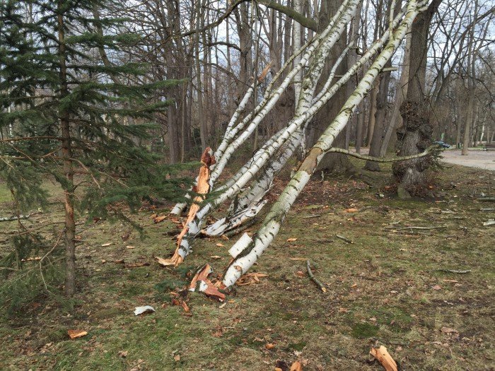 szaleje-wichuradrzewa-spady-na-budynek-i-drogi-foto-55674