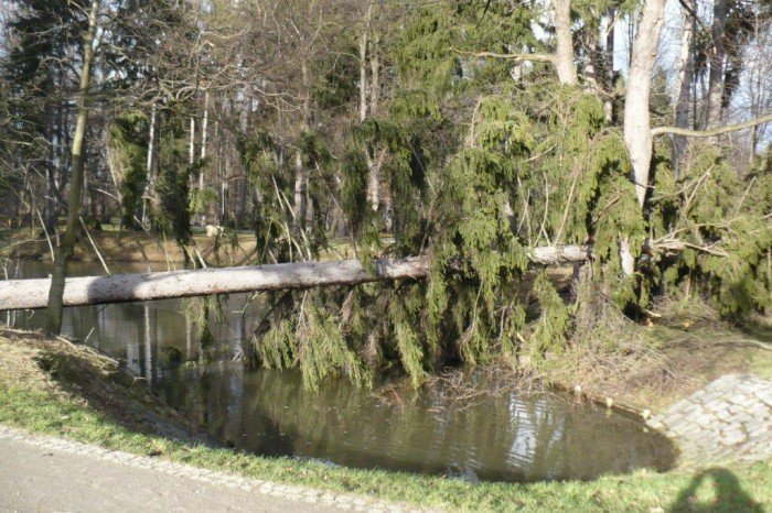 wichura-narobia-wiele-szkod-w-regionie-foto-video-aktualizacja-55683