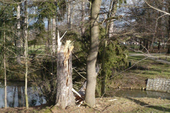 wichura-narobia-wiele-szkod-w-regionie-foto-video-aktualizacja-55683