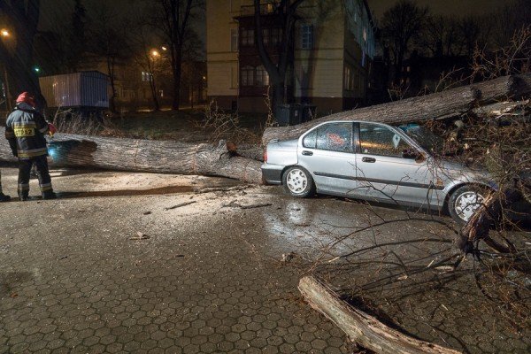 drzewo-zniszczyo-samochod-w-jeleniej-gorze-foto-aktualizacja-55694