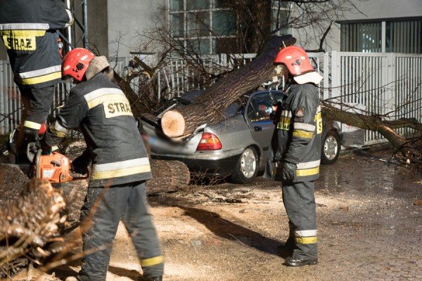 drzewo-zniszczyo-samochod-w-jeleniej-gorze-foto-aktualizacja-55694