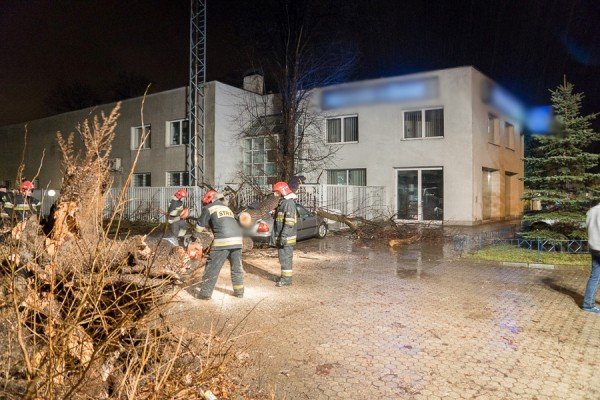 drzewo-zniszczyo-samochod-w-jeleniej-gorze-foto-aktualizacja-55694