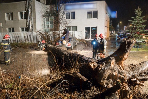 drzewo-zniszczyo-samochod-w-jeleniej-gorze-foto-aktualizacja-55694
