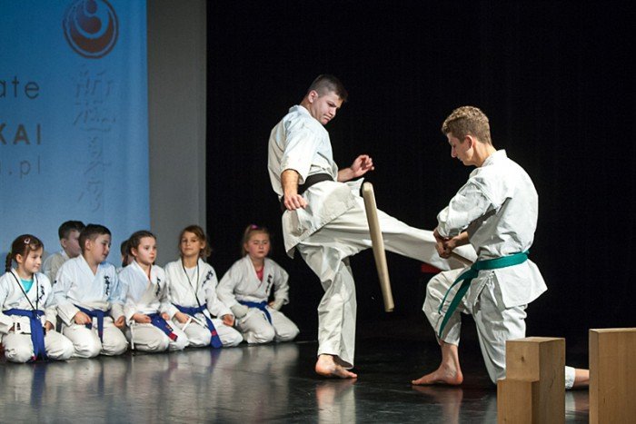 po-wielkiej-gali-karate-w-muflonie-foto-55729