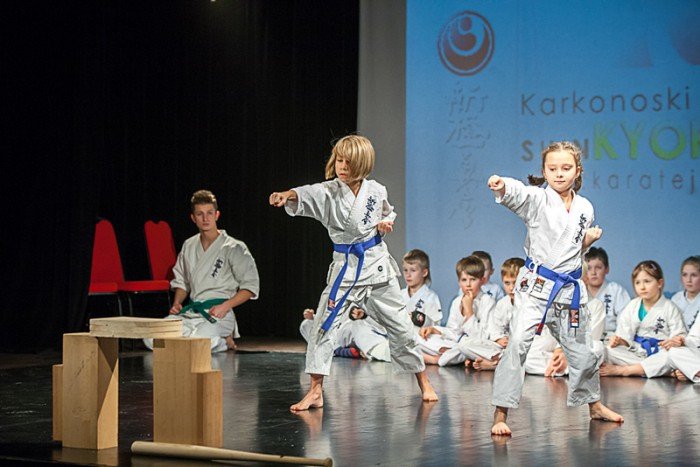 po-wielkiej-gali-karate-w-muflonie-foto-55729