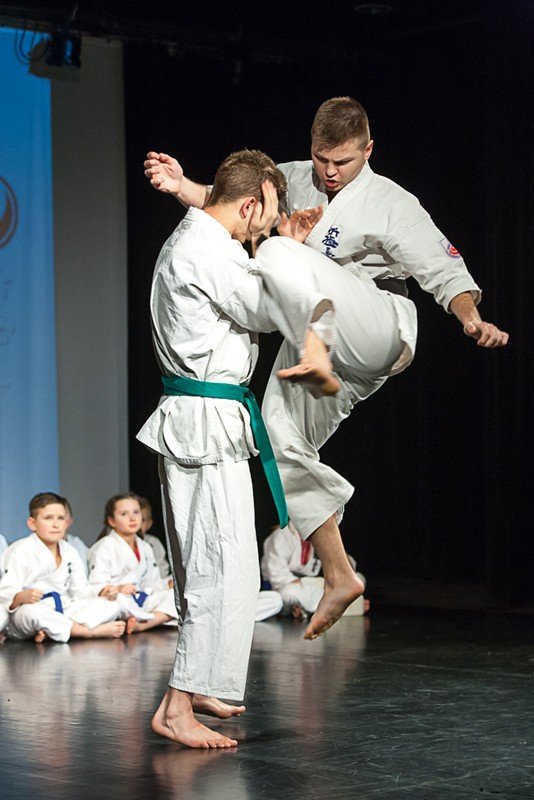 po-wielkiej-gali-karate-w-muflonie-foto-55729