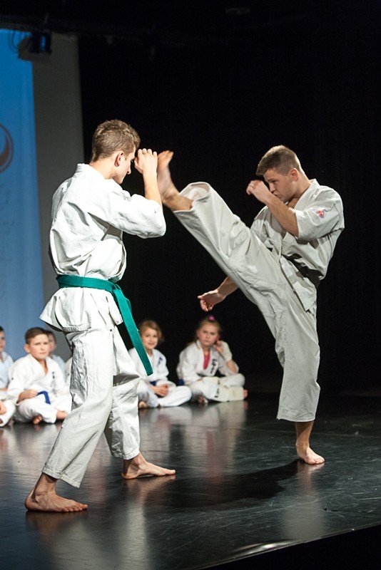 po-wielkiej-gali-karate-w-muflonie-foto-55729